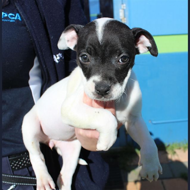 Photo of Isla