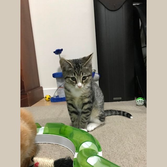 Photo of Bubble
