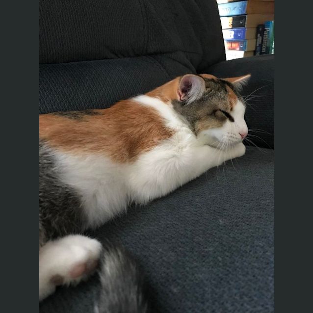 Photo of Elly