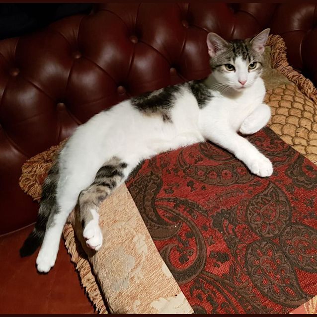 Photo of Winston