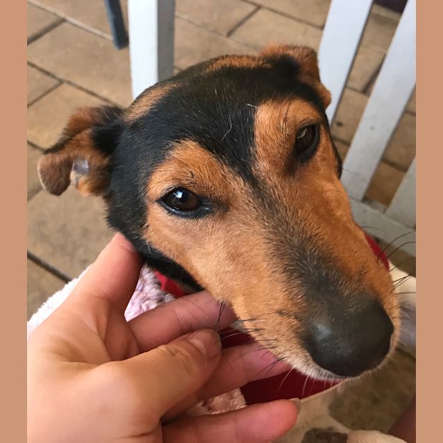 Photo of Bolt 