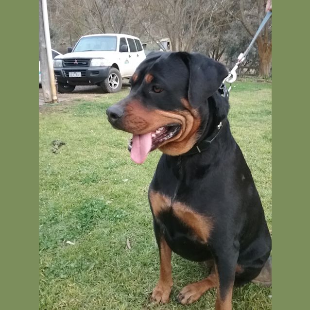 Photo of Zara And Bundy