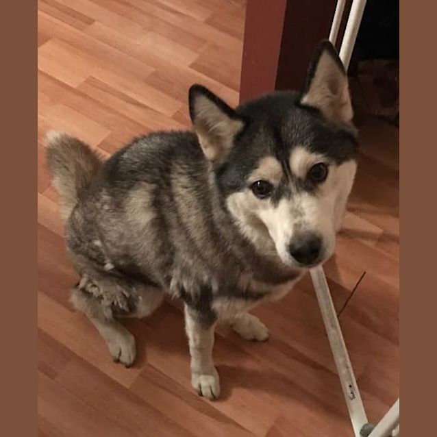 Photo of Mischa And Steele