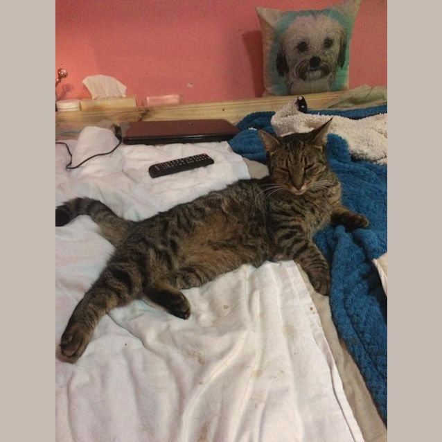 Photo of Miss Smoochy