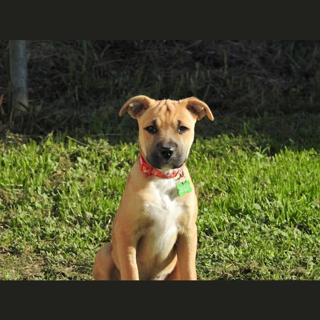 Photo of Moxi