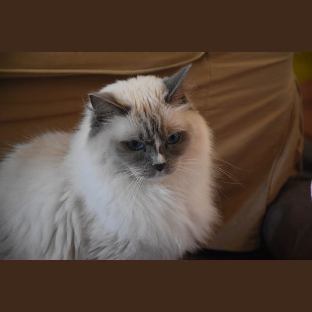 Photo of Belle