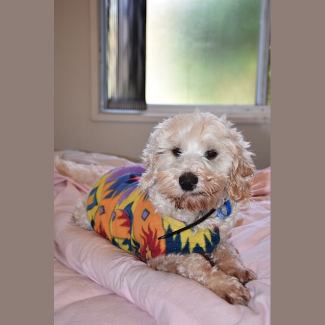 Photo of Monty