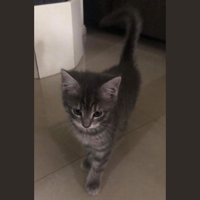 Photo of Maci 