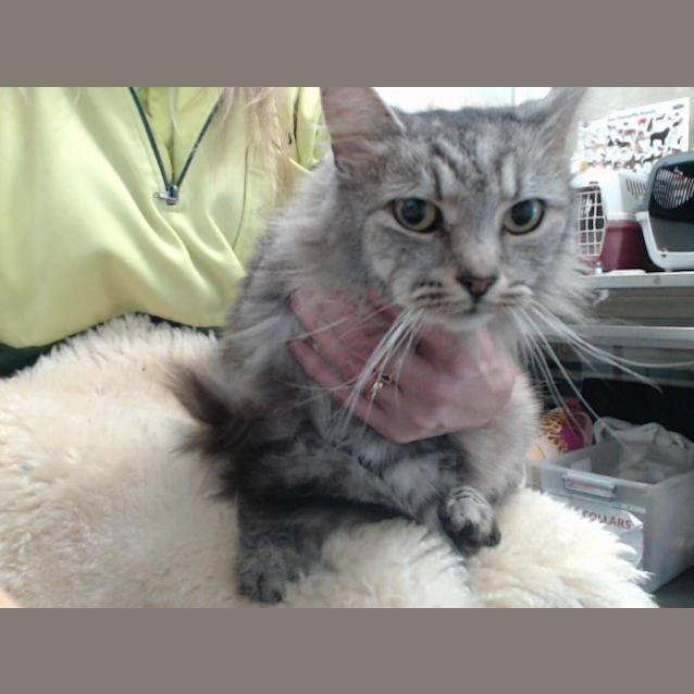 Photo of Bella (2818)