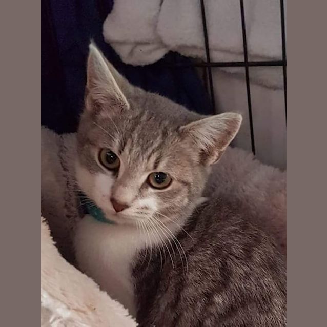 Photo of Precious