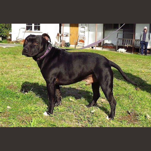 Photo of Chilly