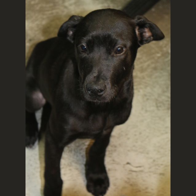 Photo of Boo Boo