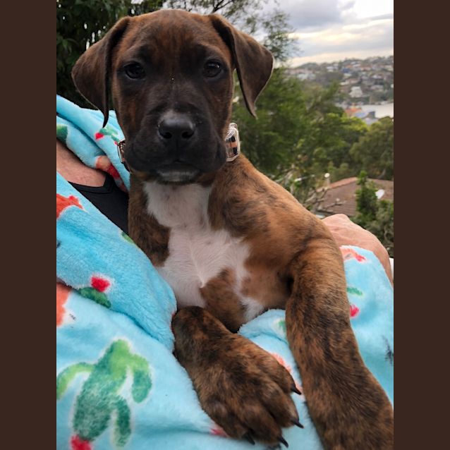 Photo of Lucy