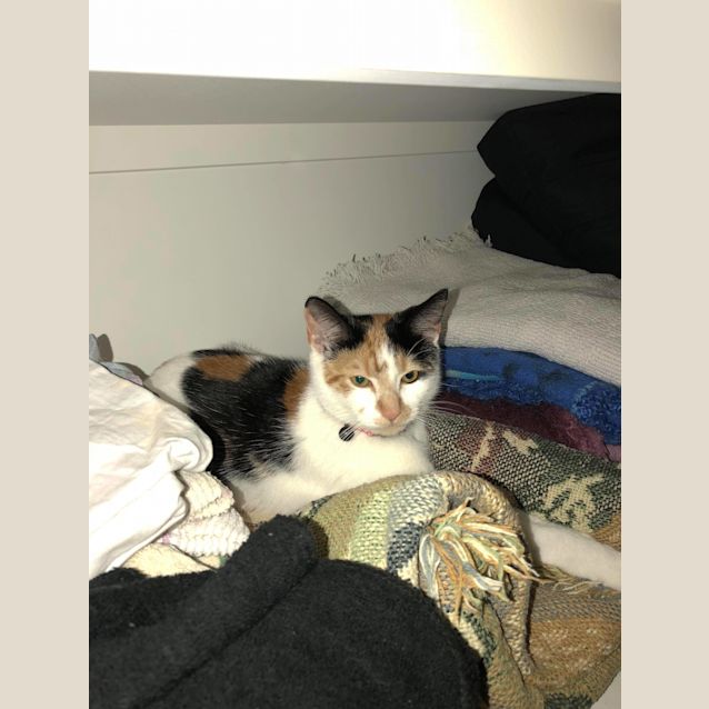 Photo of Molly 