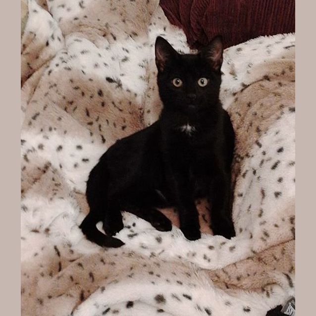 Photo of Dante