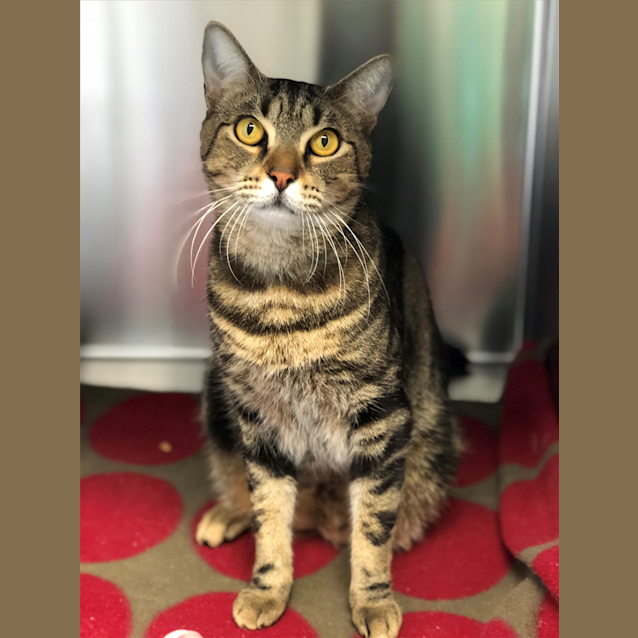 Photo of Tom