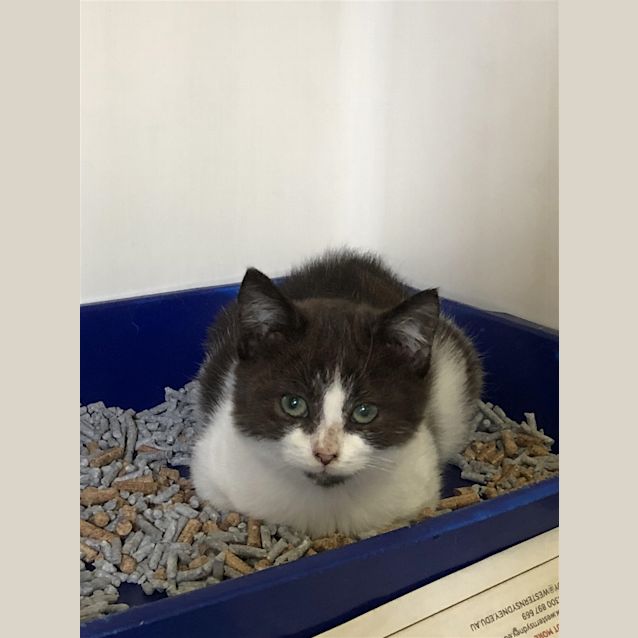 Photo of Calvin