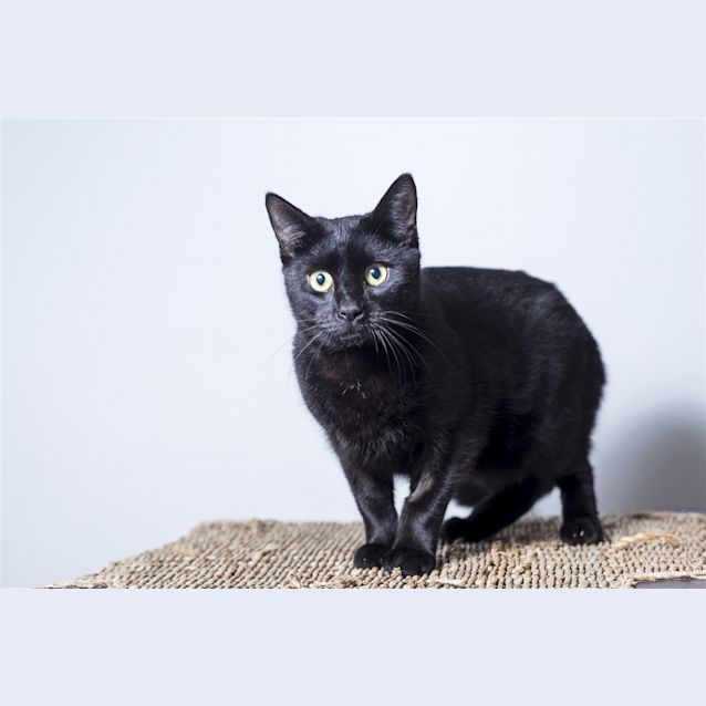 Photo of Alfie