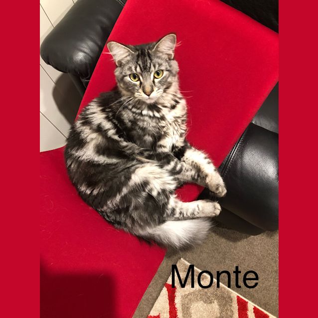 Photo of Monte