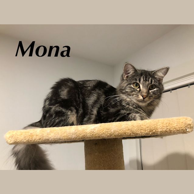 Photo of Mona