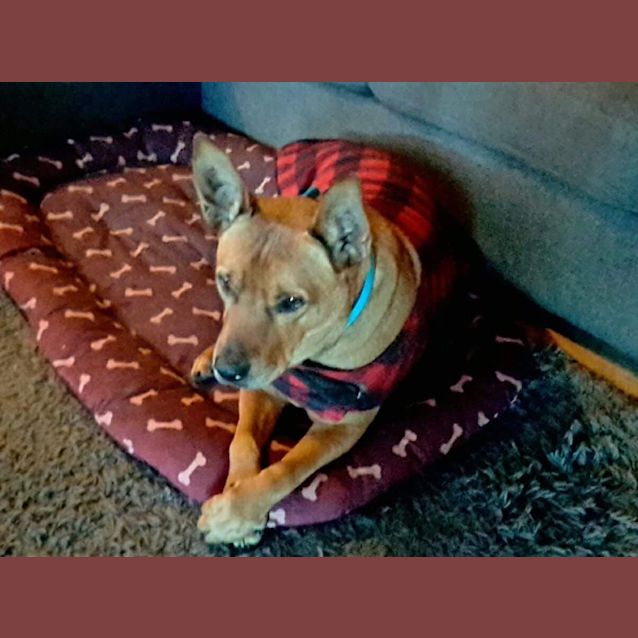 Photo of Hunter Db228