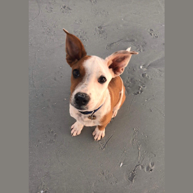 Photo of Max