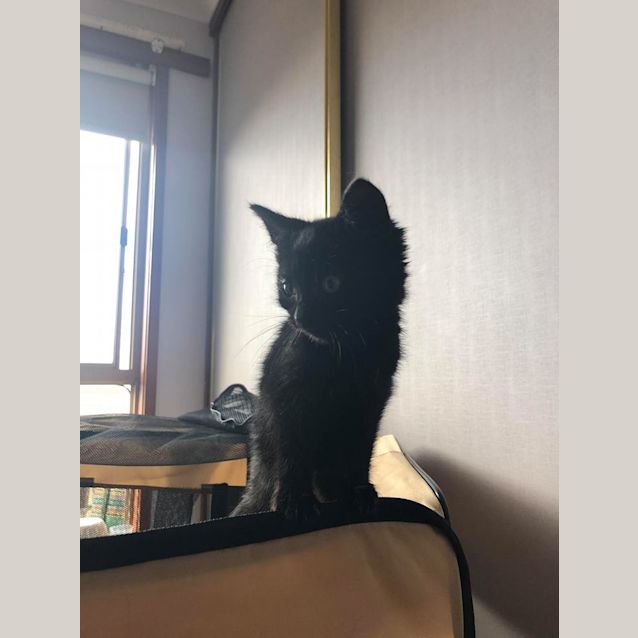 Photo of Spidey The Spider Girl