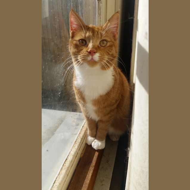 Photo of Jasper