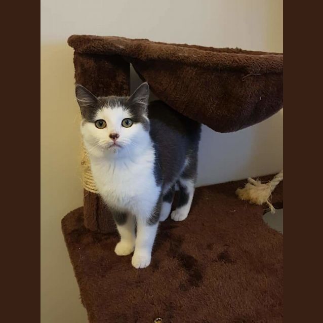 Photo of Billy