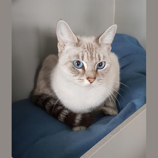 Photo of Narla