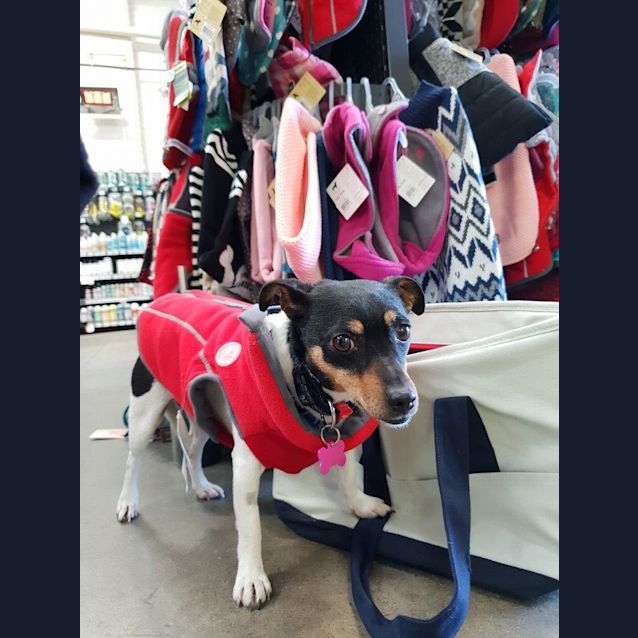 Photo of Bella Meriville 