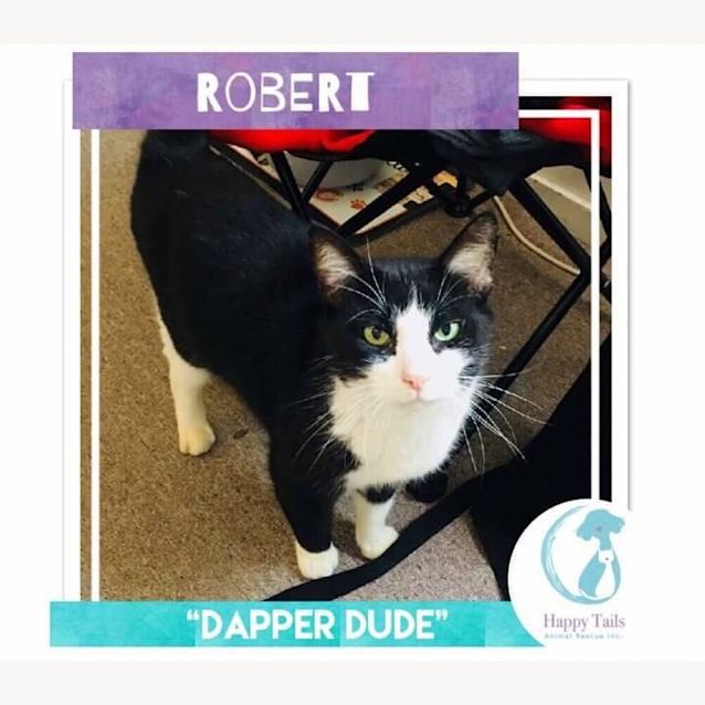 Photo of Robert