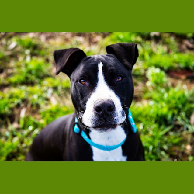 Photo of Arlo 