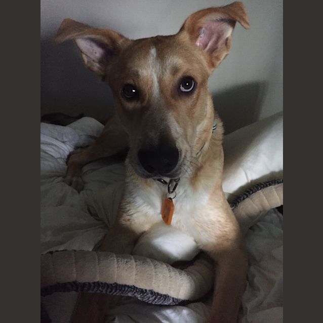 Photo of **On Trial** Cory 