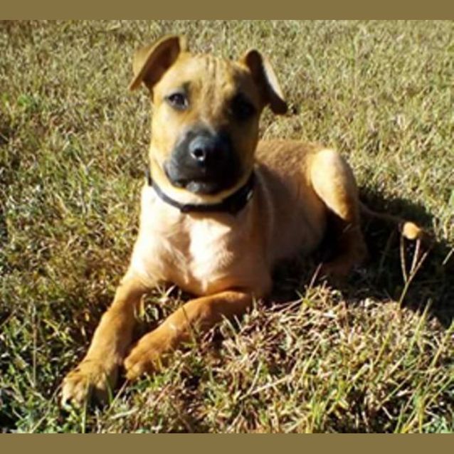 Photo of Rogue