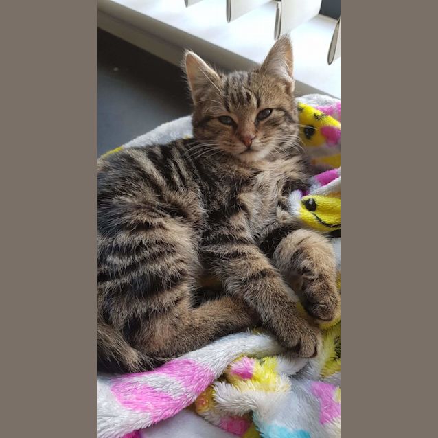 Photo of Simon