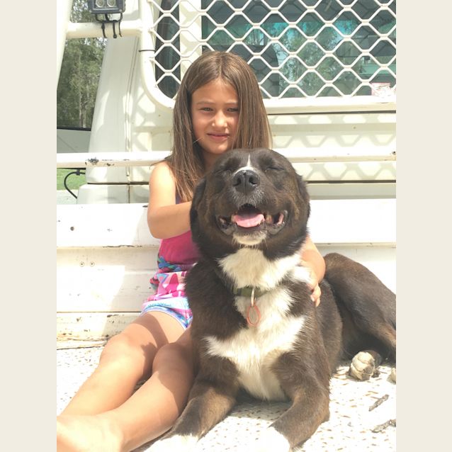 Photo of Millie 