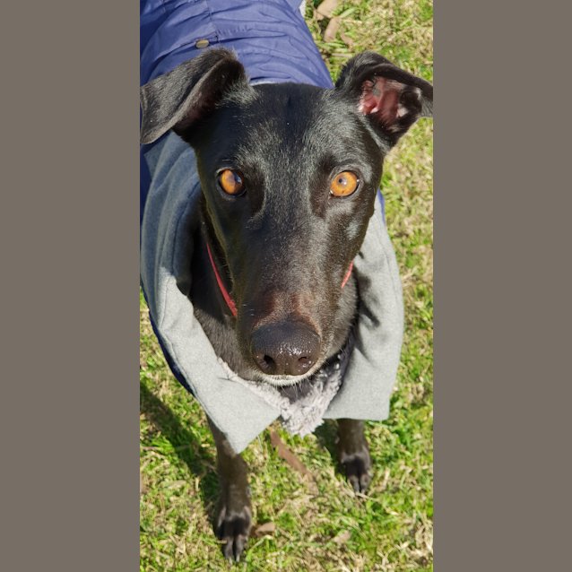 Photo of Maggie