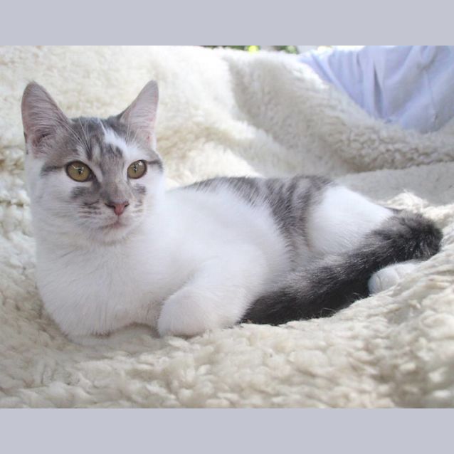 Photo of Orbit 