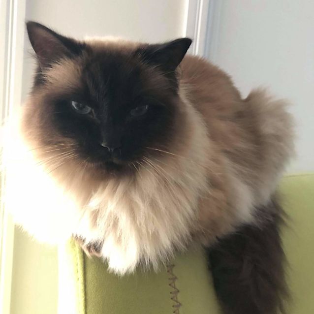 Photo of Fifi