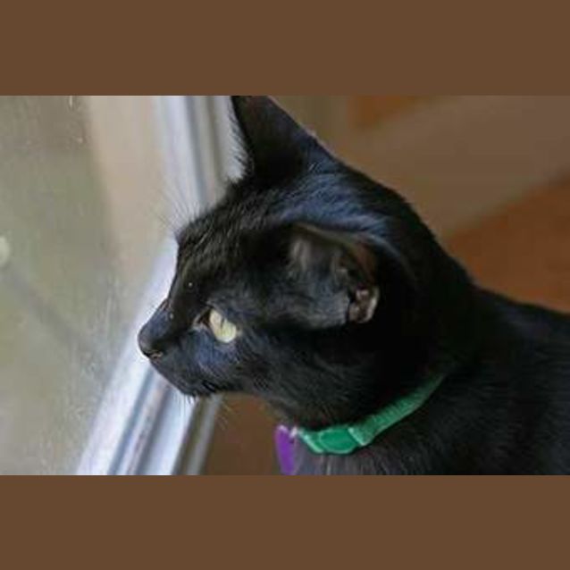 Photo of Digger