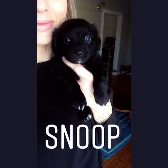 Photo of Snoop