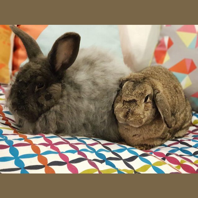 Photo of Ashton & Dianna