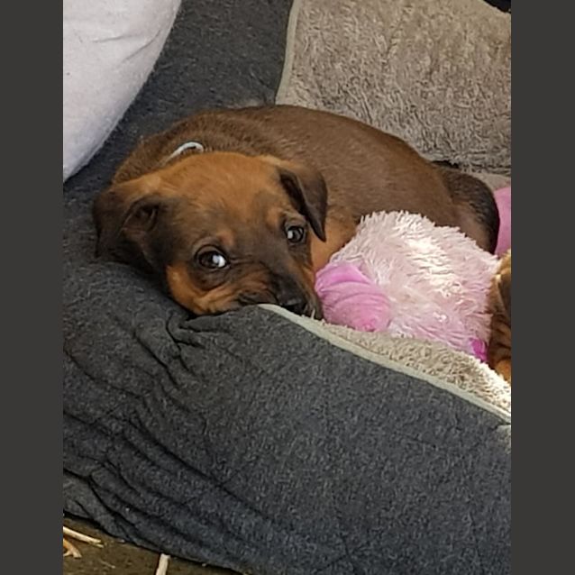 Photo of Ryley