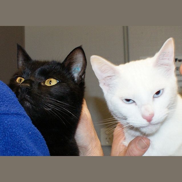 Photo of Salem & Sabrina