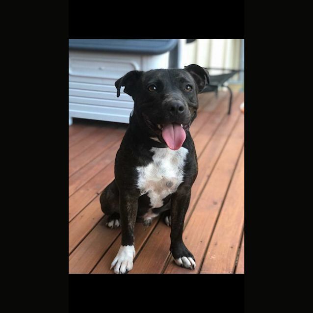 Photo of Murphy