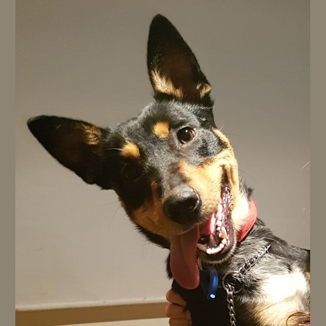 Photo of Sophie