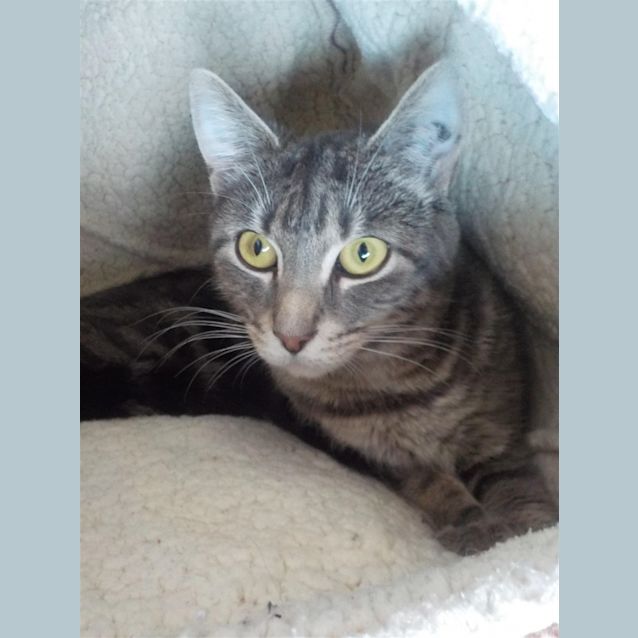 Photo of Mishka