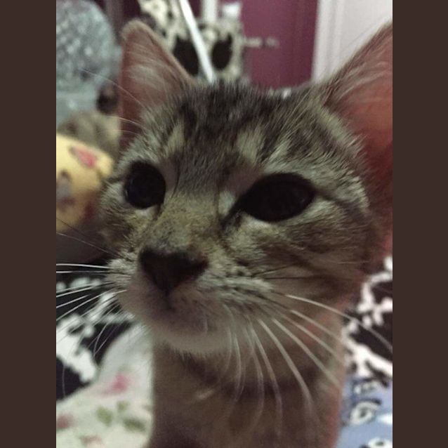 Photo of Lola