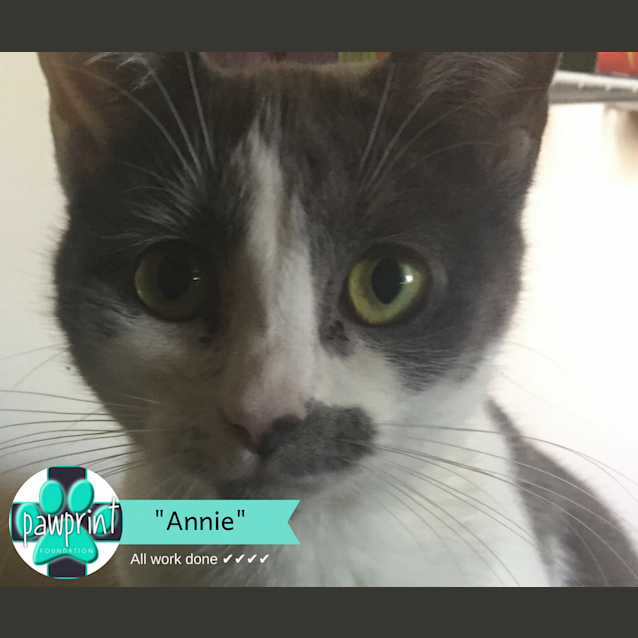 Photo of Annie
